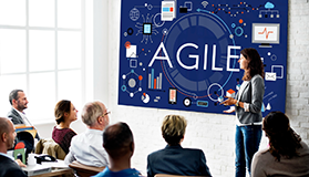 Agile Coaching & Mentoring